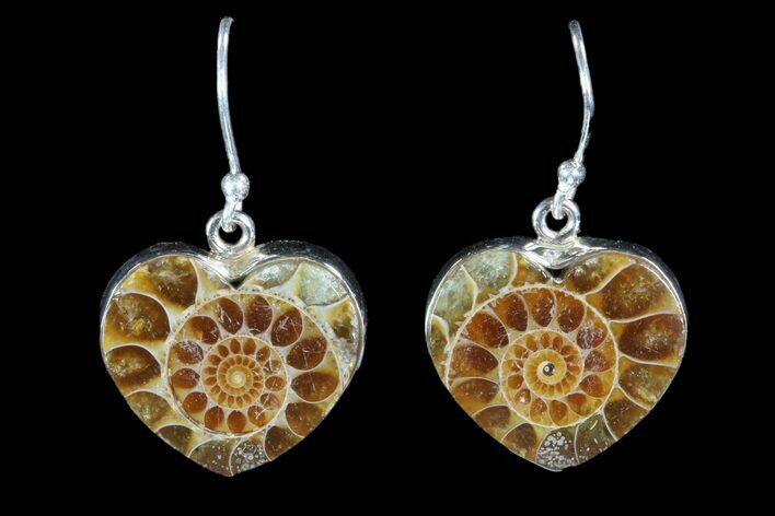 Fossil Ammonite Earrings - Sterling Silver #81631